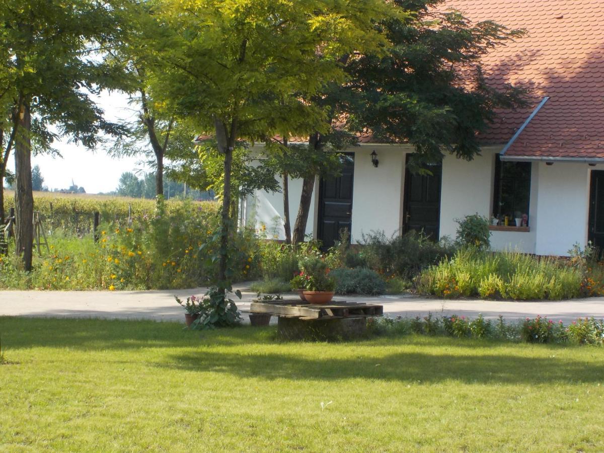 Guest House Vidravar Tabdi Luaran gambar